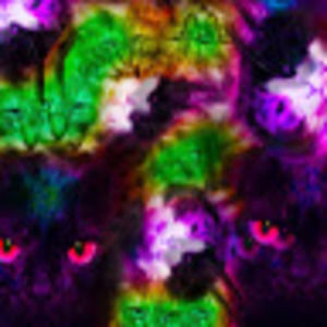 Meet your Posher, Lindsey